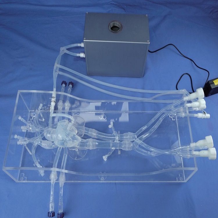 365a42508a7e2347c9b4ee3a426e04c 365a42508a7e2347c9b4ee3a426e04c