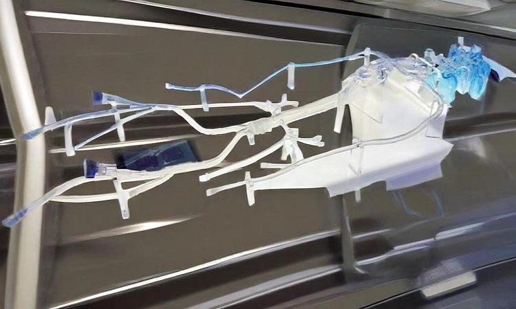 微信圖片_20251011171600_1059_15